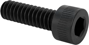 Socket Head Cap Screw